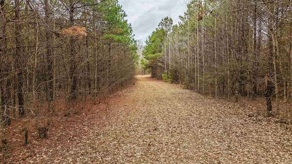 49 Acres of Recreational & Residential Land for Sale in Pine Bluff, Arkansas