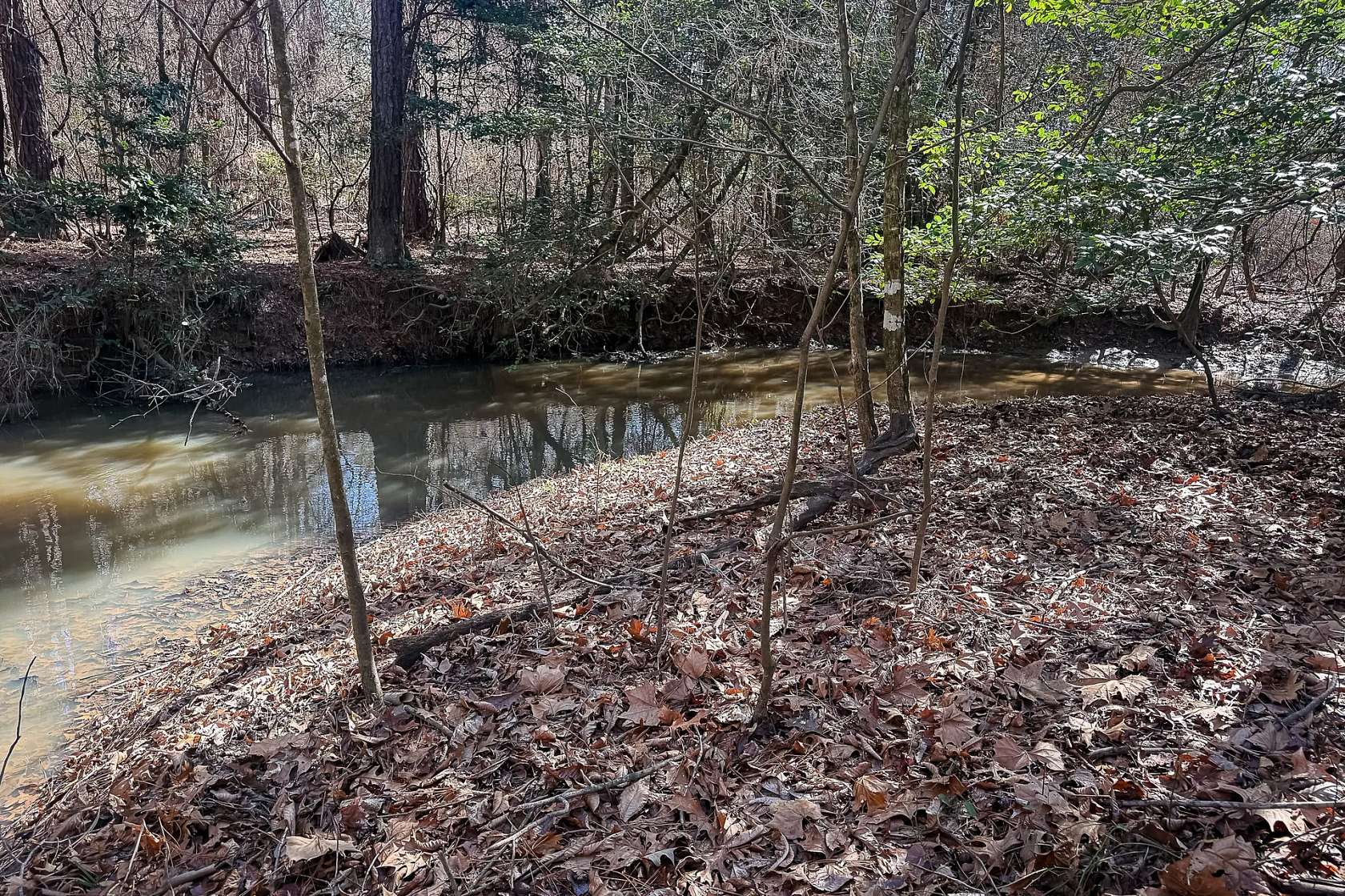 20 Acres of Recreational Land for Sale in Hamburg, Arkansas