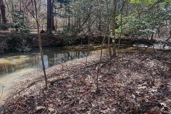 20 Acres of Recreational Land for Sale in Hamburg, Arkansas