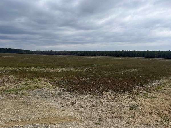 267 Acres of Recreational Land for Sale in Latta, South Carolina