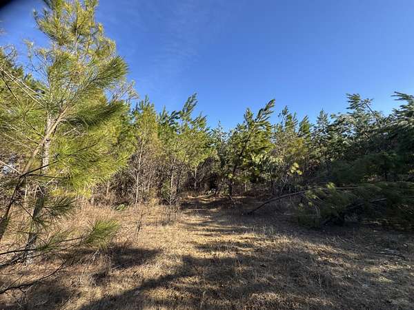 17 Acres of Land for Sale in Baldwyn, Mississippi