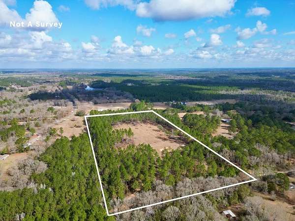 20.4 Acres of Recreational & Residential Land for Sale in Carriere, Mississippi