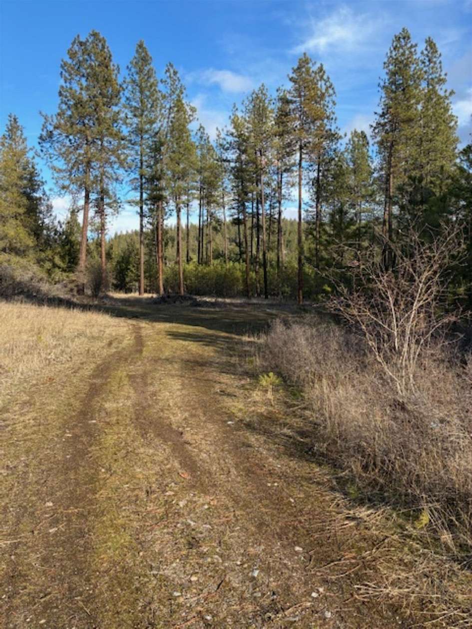 11 Acres of Recreational & Residential Land for Sale in Springdale, Washington