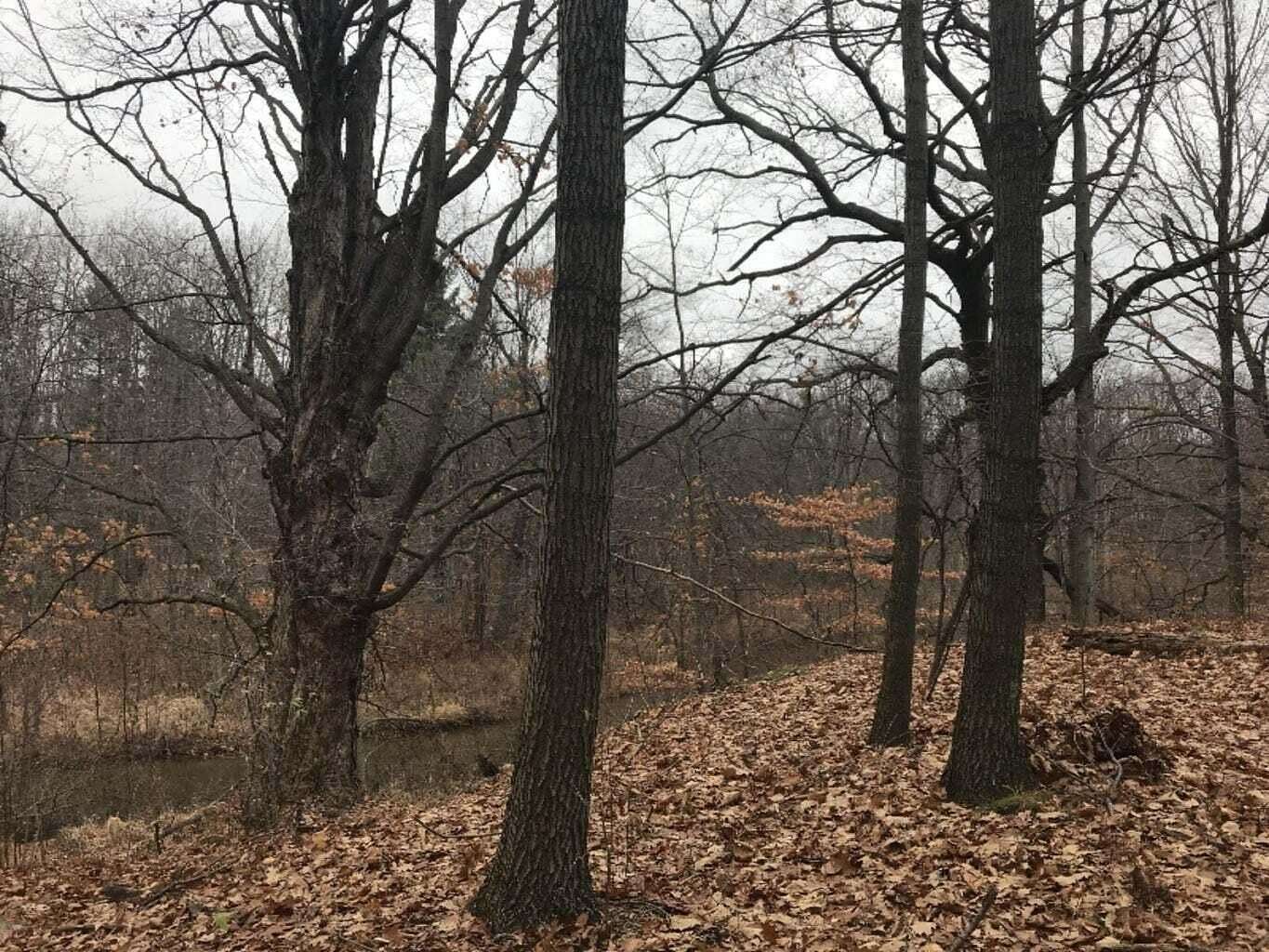 0.99 Acres of Residential Land for Sale in Gowen, Michigan