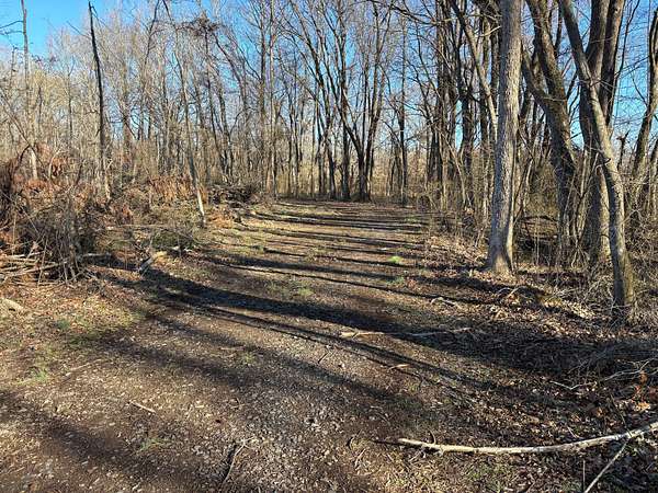 100 Acres of Recreational Land for Sale in Albion, Arkansas