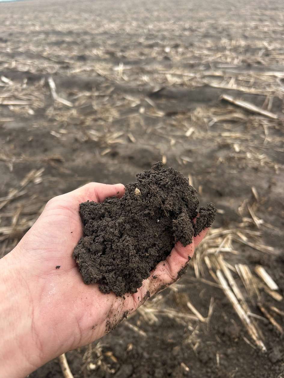 30.8 Acres of Agricultural Land for Sale in Dalton City, Illinois