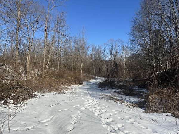 43 Acres of Recreational & Residential Land for Sale in Poland, Indiana