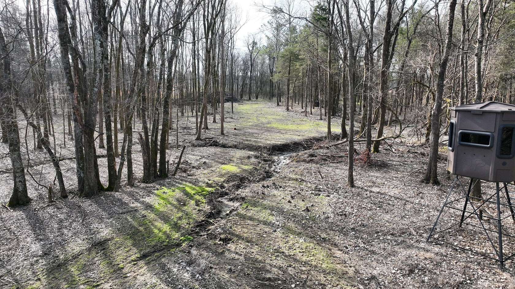 160 Acres of Land for Sale in Houston, Mississippi