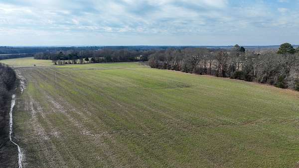 160 Acres of Land for Sale in Houston, Mississippi