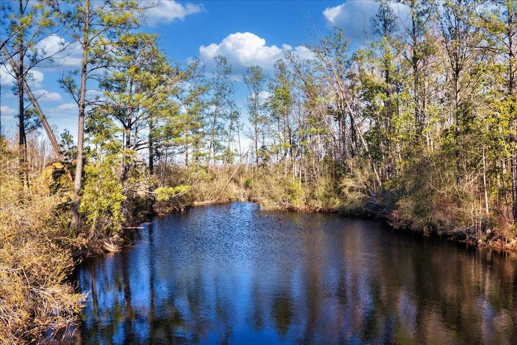 216 Acres of Recreational Land for Sale in Madison, Florida
