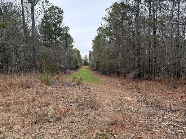55 Acres of Recreational & Residential Land for Sale in Carlton, Georgia