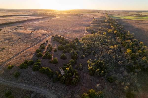 80 Acres of Land for Auction in Plevna, Kansas