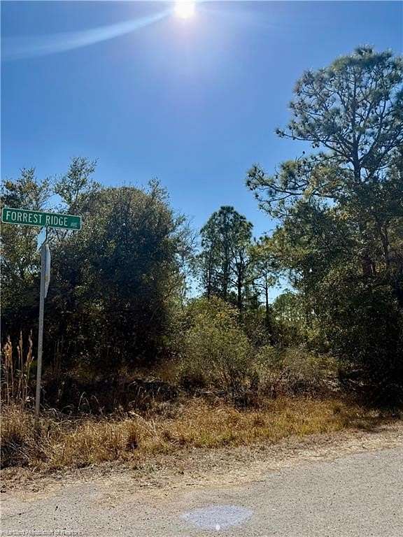 0.26 Acres of Residential Land for Sale in Lake Placid, Florida