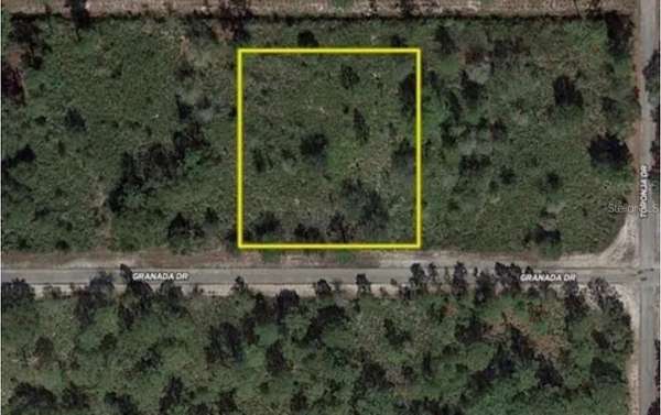 1 Acre of Residential Land for Sale in Indian Lake Estates, Florida