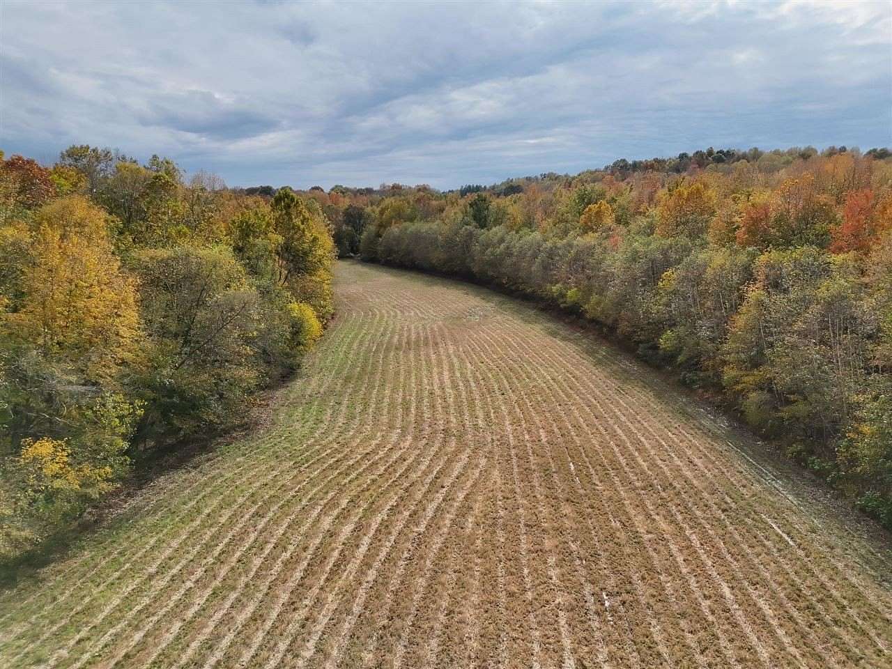 220 Acres of Land for Sale in Morgantown, Kentucky