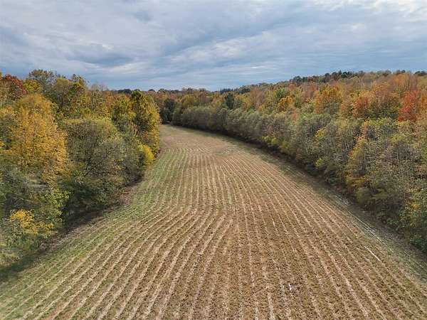 220 Acres of Land for Sale in Morgantown, Kentucky