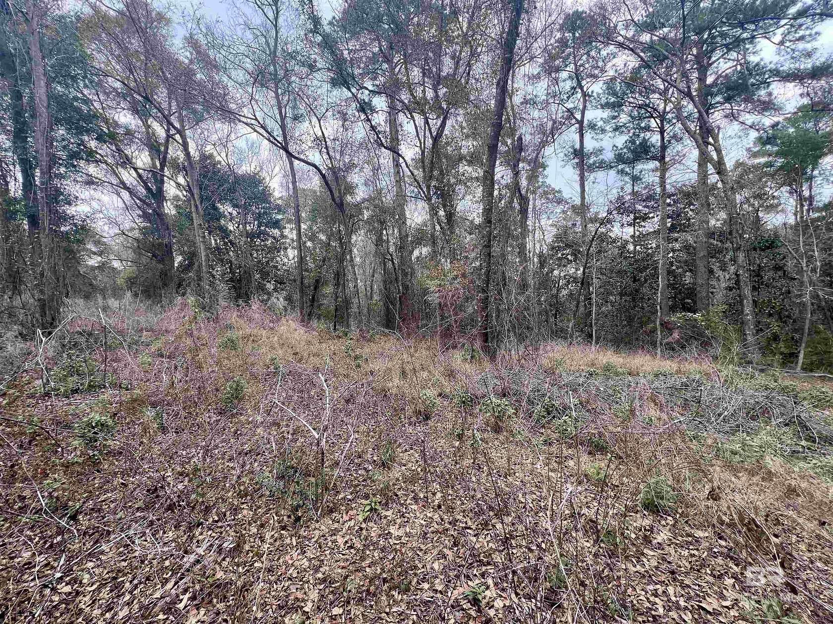3.3 Acres of Residential Land for Sale in Spanish Fort, Alabama