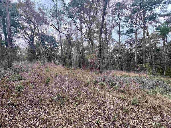 3.3 Acres of Residential Land for Sale in Spanish Fort, Alabama