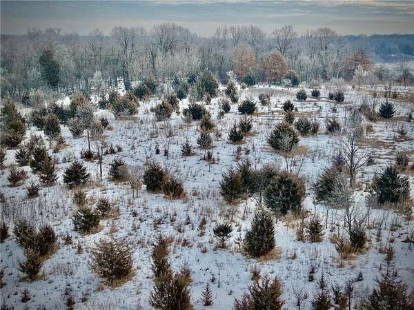 6 Acres of Residential Land for Sale in Spring Lake Township, Minnesota