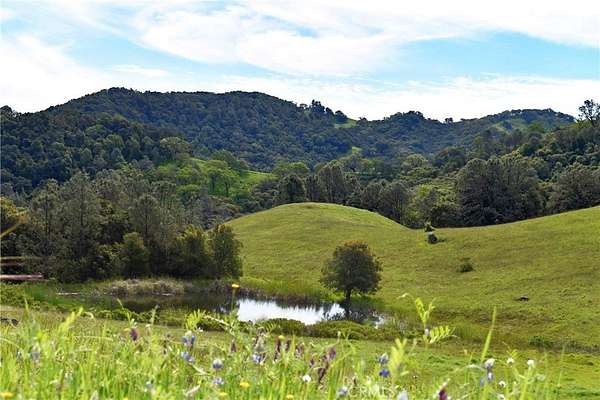 126 Acres of Recreational Land for Sale in Paso Robles, California
