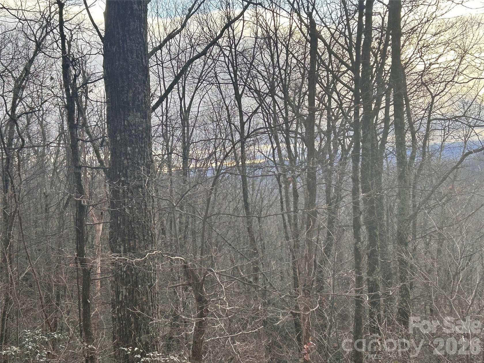 1 Acre of Residential Land for Sale in Hendersonville, North Carolina
