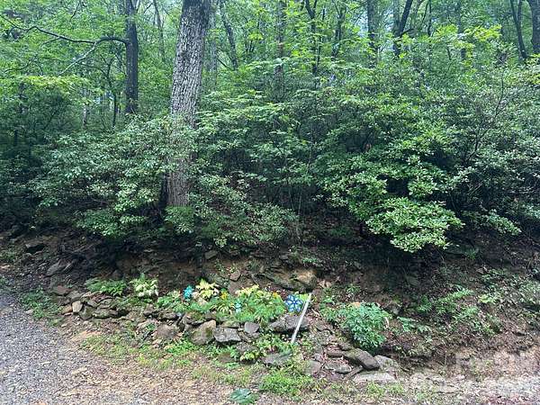 1 Acre of Land for Sale in Hendersonville, North Carolina