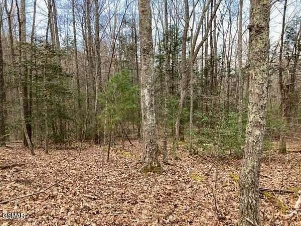 51.2 Acres of Recreational Land for Sale in Sevierville, Tennessee