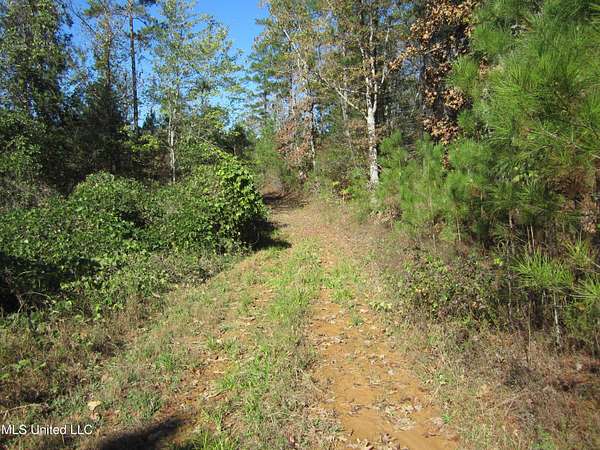 22.7 Acres of Recreational Land for Sale in Tiplersville, Mississippi