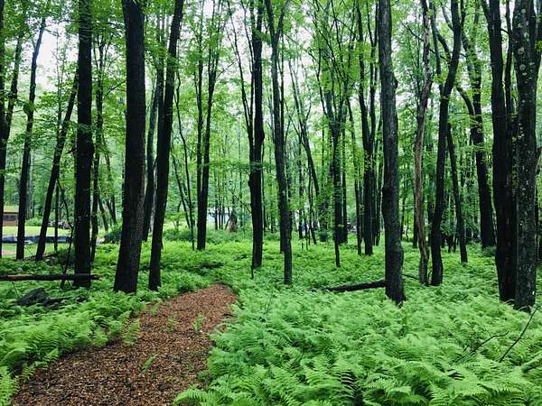 0.47 Acres of Land for Sale in Pocono Lake, Pennsylvania