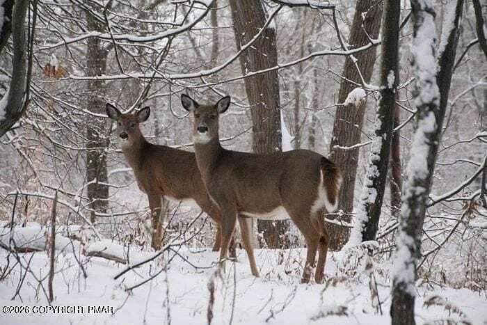 0.52 Acres of Residential Land for Sale in Pocono Lake, Pennsylvania