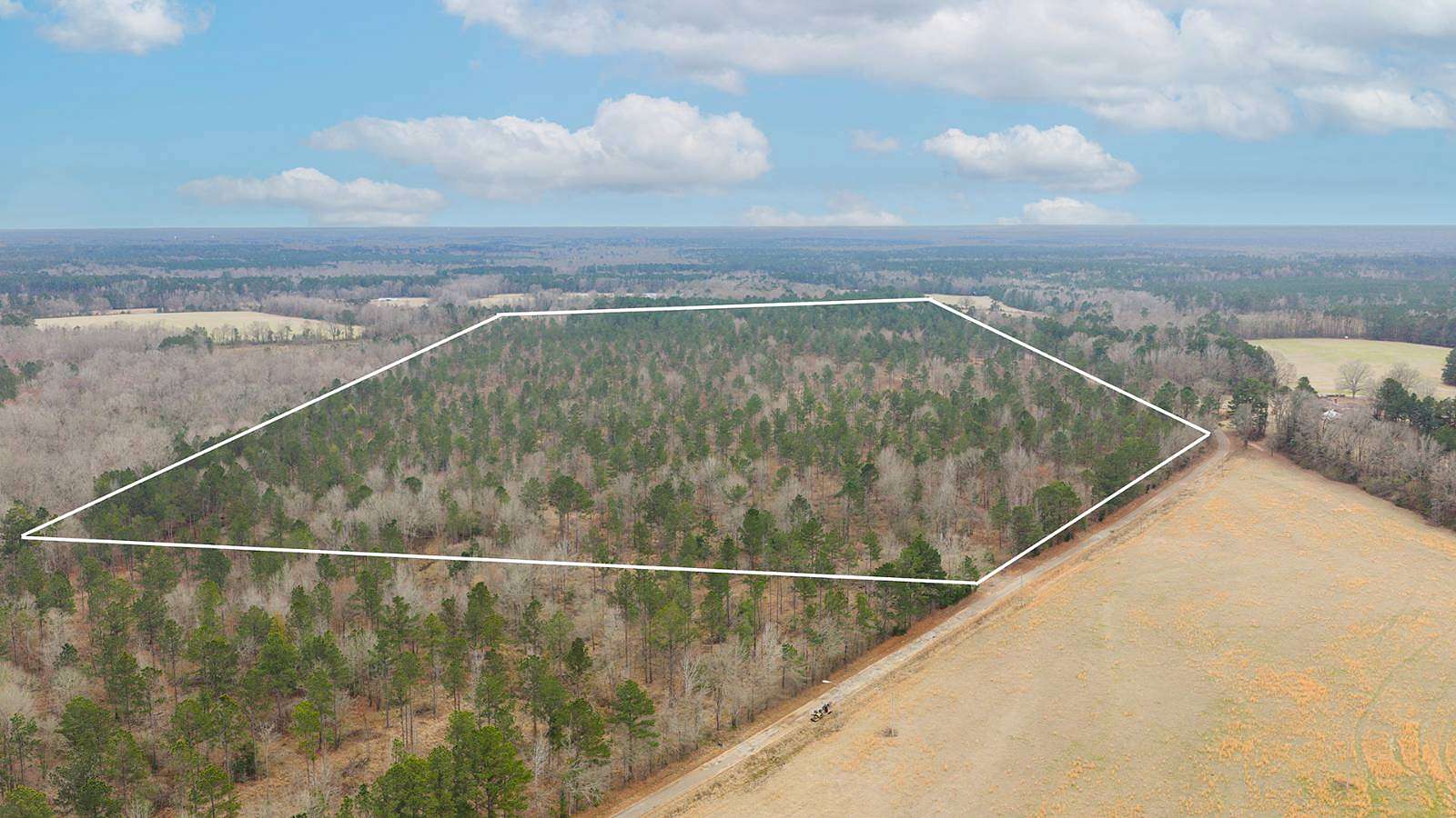 10 Acres of Residential Land for Sale in McNeil, Arkansas