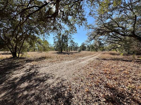10 Acres of Land for Sale in Ridgeland, South Carolina
