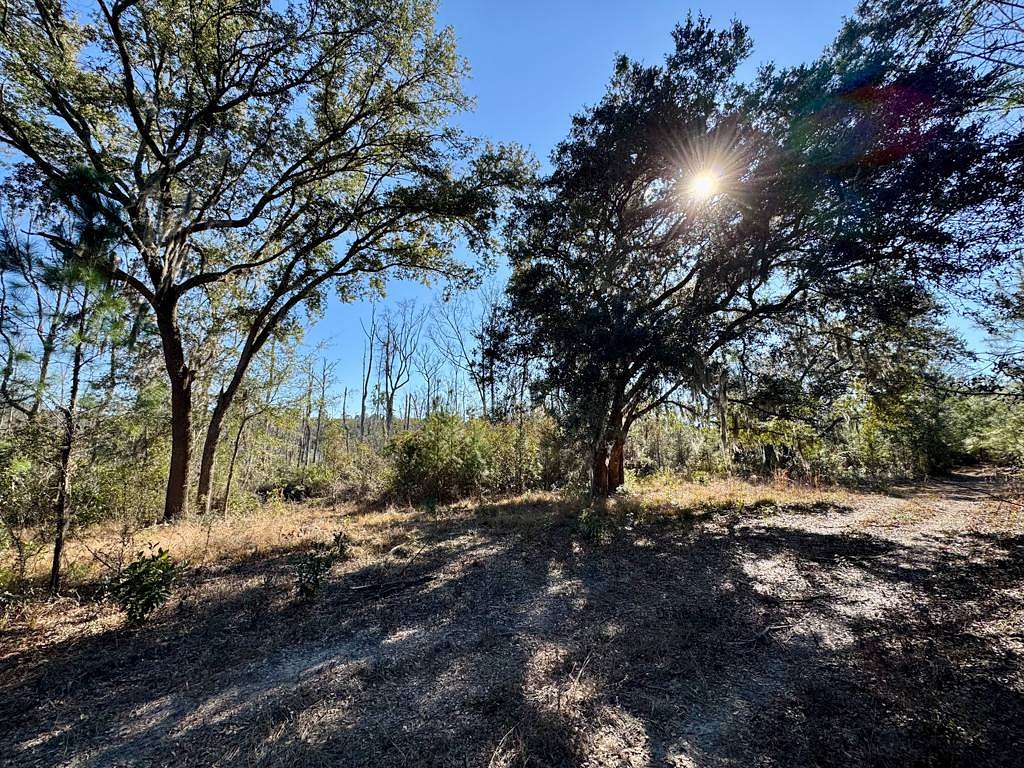 20 Acres of Land for Sale in Ridgeland, South Carolina