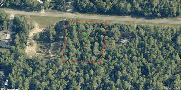 1 Acre of Residential Land for Sale in Dunnellon, Florida