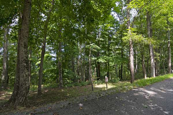 2.1 Acres of Residential Land for Sale in Caldwell, West Virginia