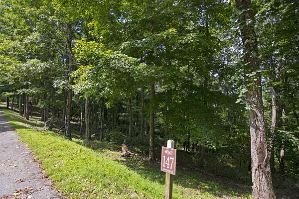 2.3 Acres of Residential Land for Sale in Caldwell, West Virginia