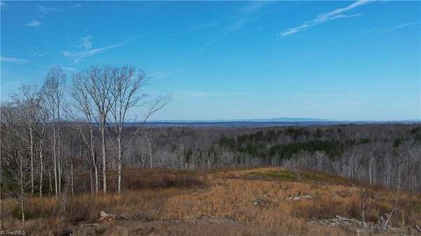 19.3 Acres of Land for Sale in Reidsville, North Carolina