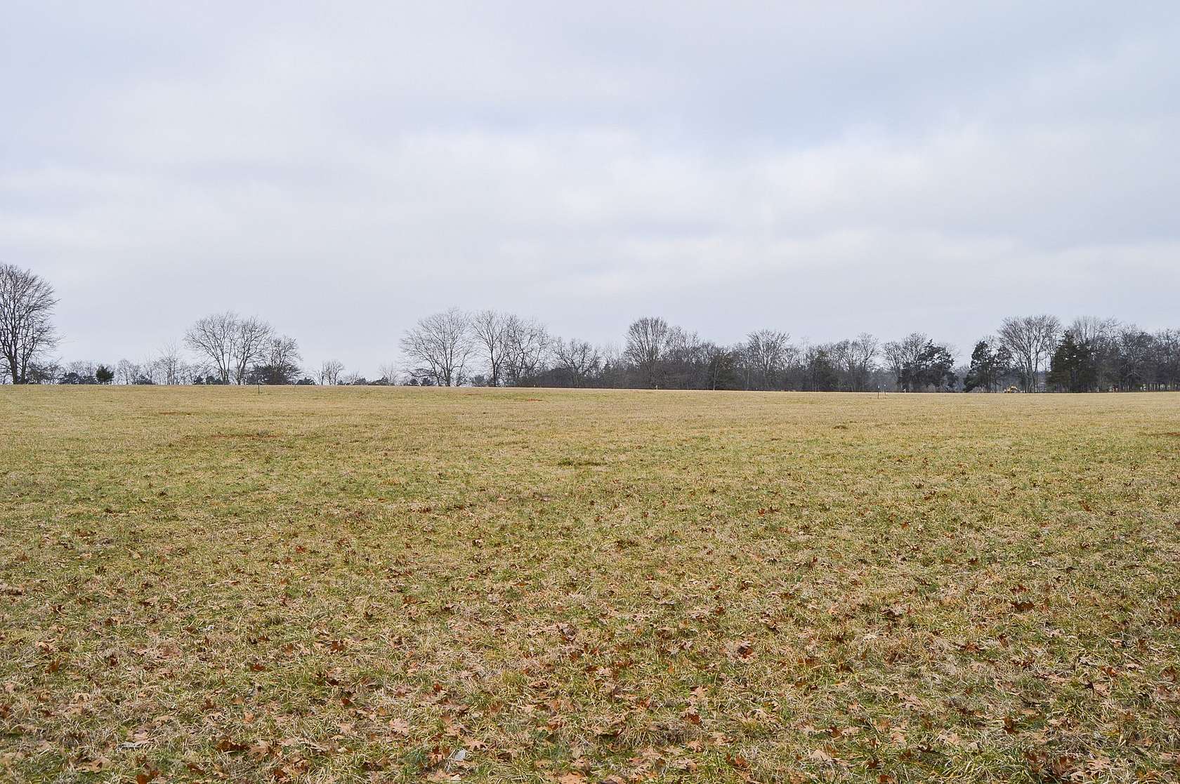 84 Acres of Land for Auction in Bell Buckle, Tennessee