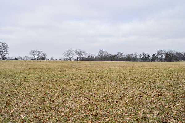 84 Acres of Land for Auction in Bell Buckle, Tennessee