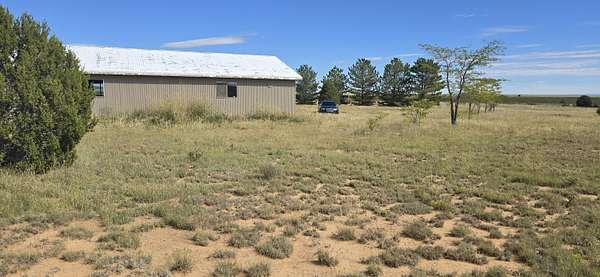 50 Acres of Land for Sale in Estancia, New Mexico