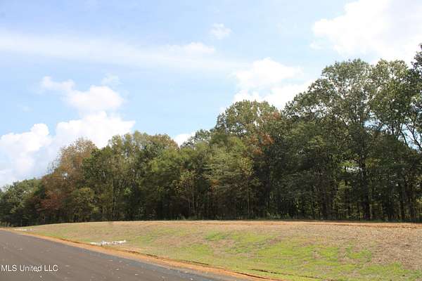 2 Acres of Residential Land for Sale in Hernando, Mississippi