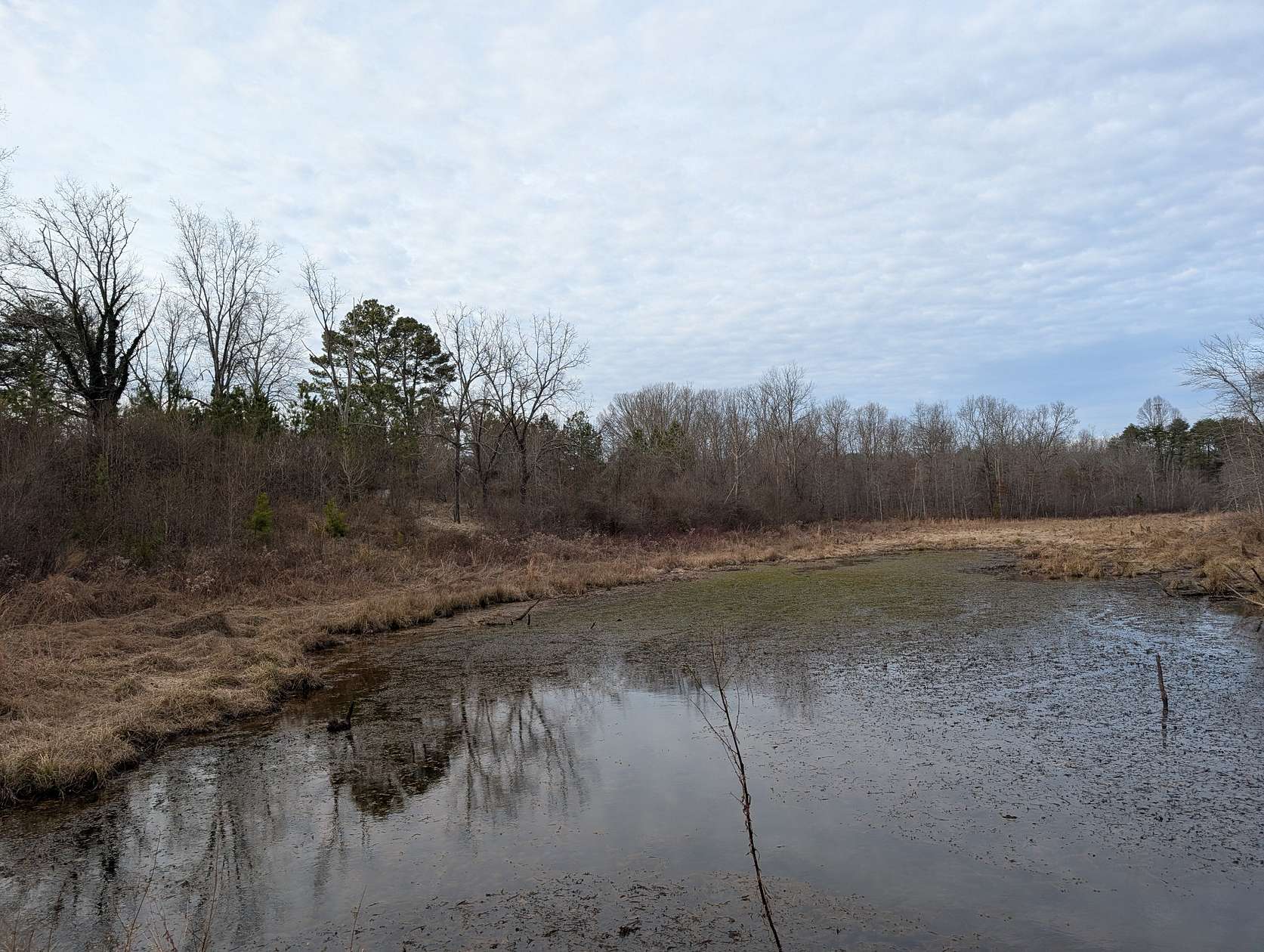 25 Acres of Recreational & Residential Land for Sale in Coalmont, Tennessee