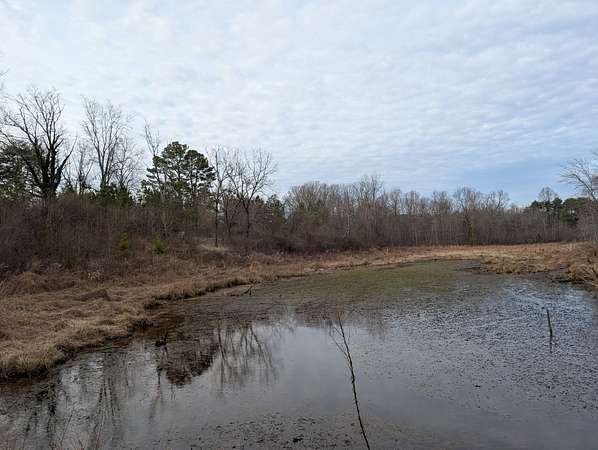 25 Acres of Recreational & Residential Land for Sale in Coalmont, Tennessee