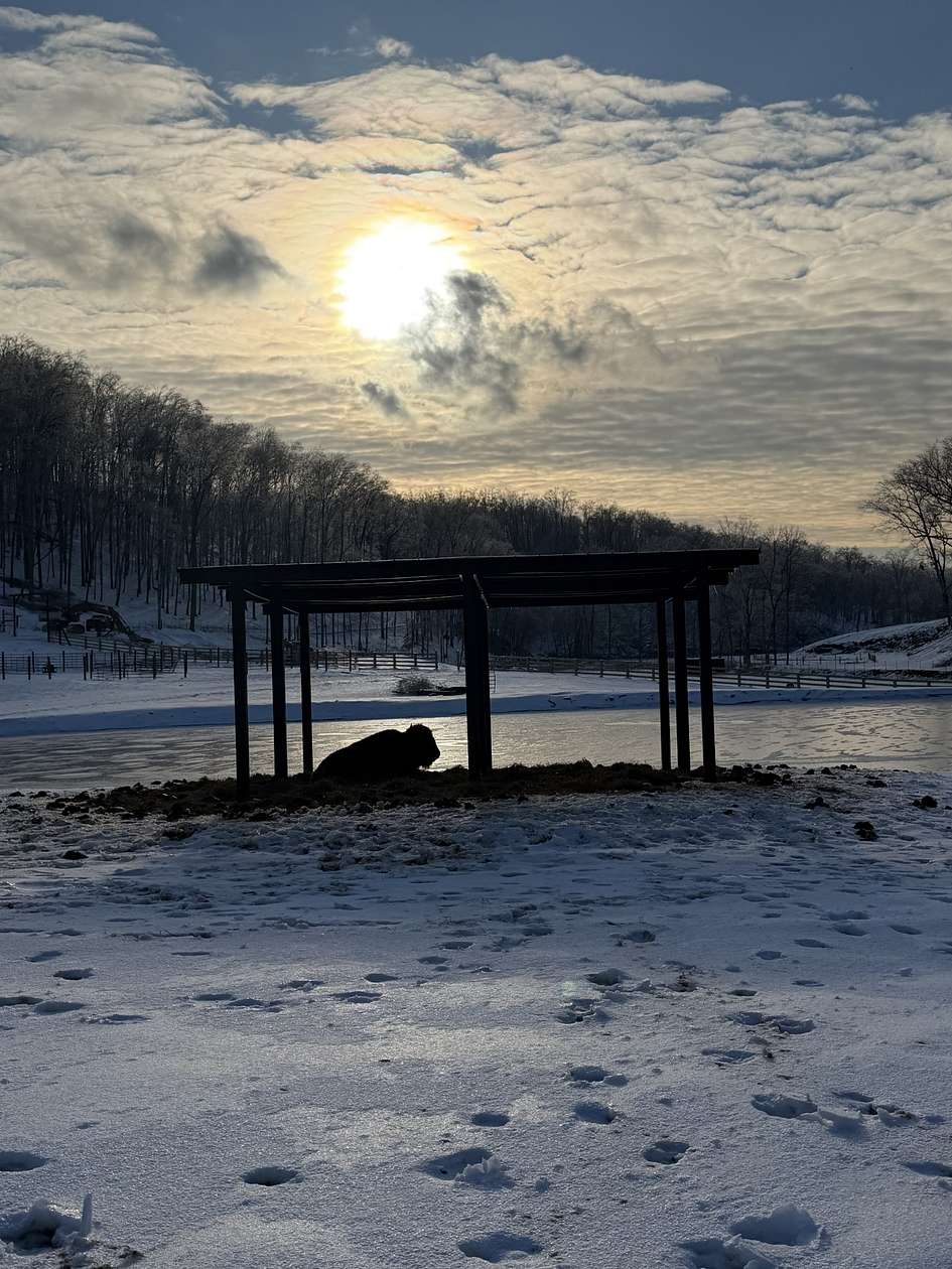 5 Acres of Residential Land for Sale in Joelton, Tennessee