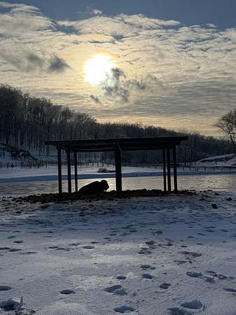 5 Acres of Residential Land for Sale in Joelton, Tennessee