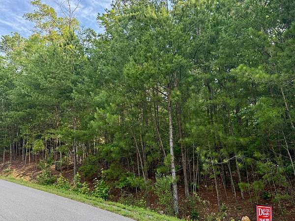0.69 Acres of Residential Land for Sale in Glencoe, Alabama