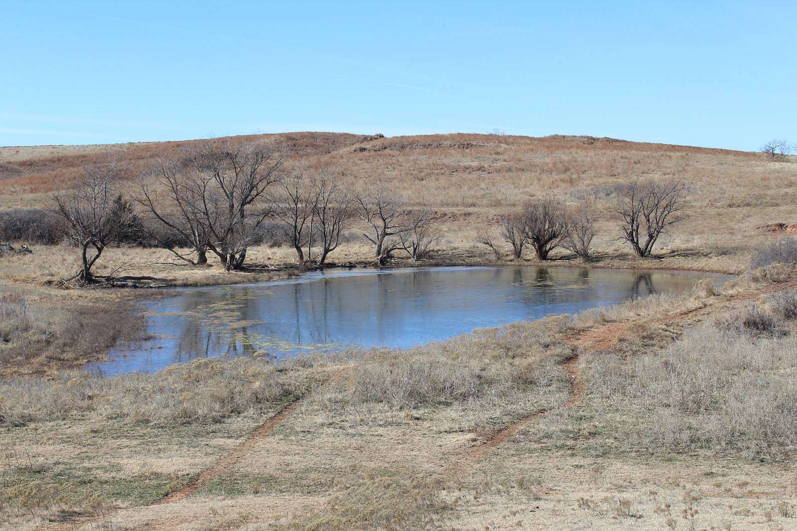 520 Acres of Land for Auction in Freedom, Oklahoma