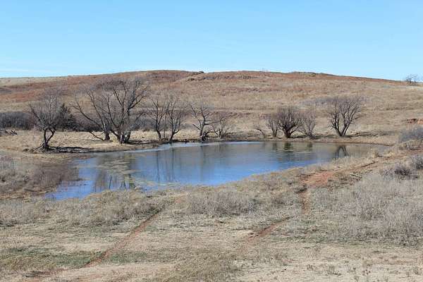 520 Acres of Land for Auction in Freedom, Oklahoma