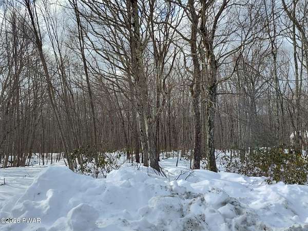 1 Acre of Residential Land for Sale in Dingman Township, Pennsylvania