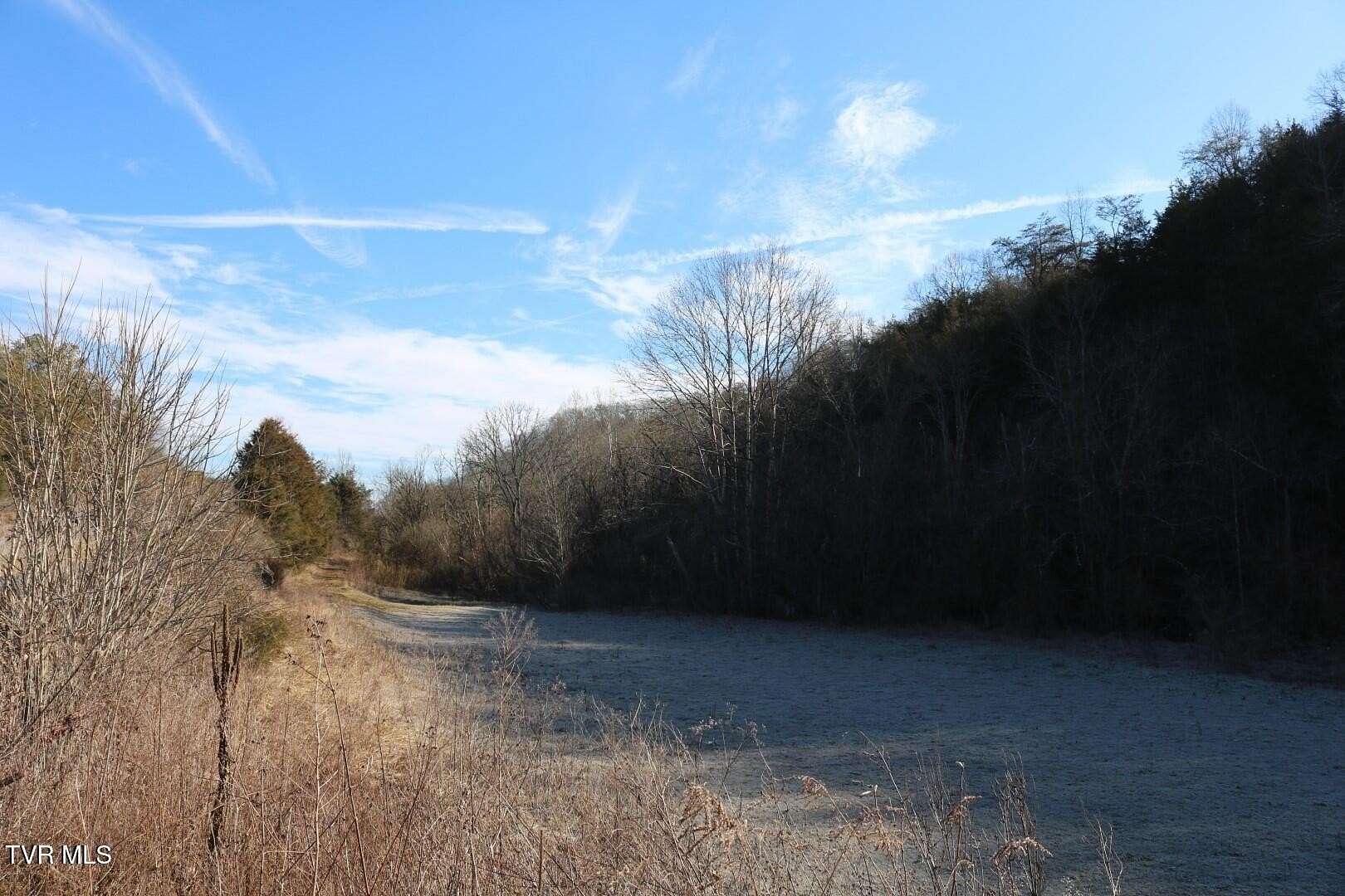 77.6 Acres of Land for Sale in Eidson, Tennessee